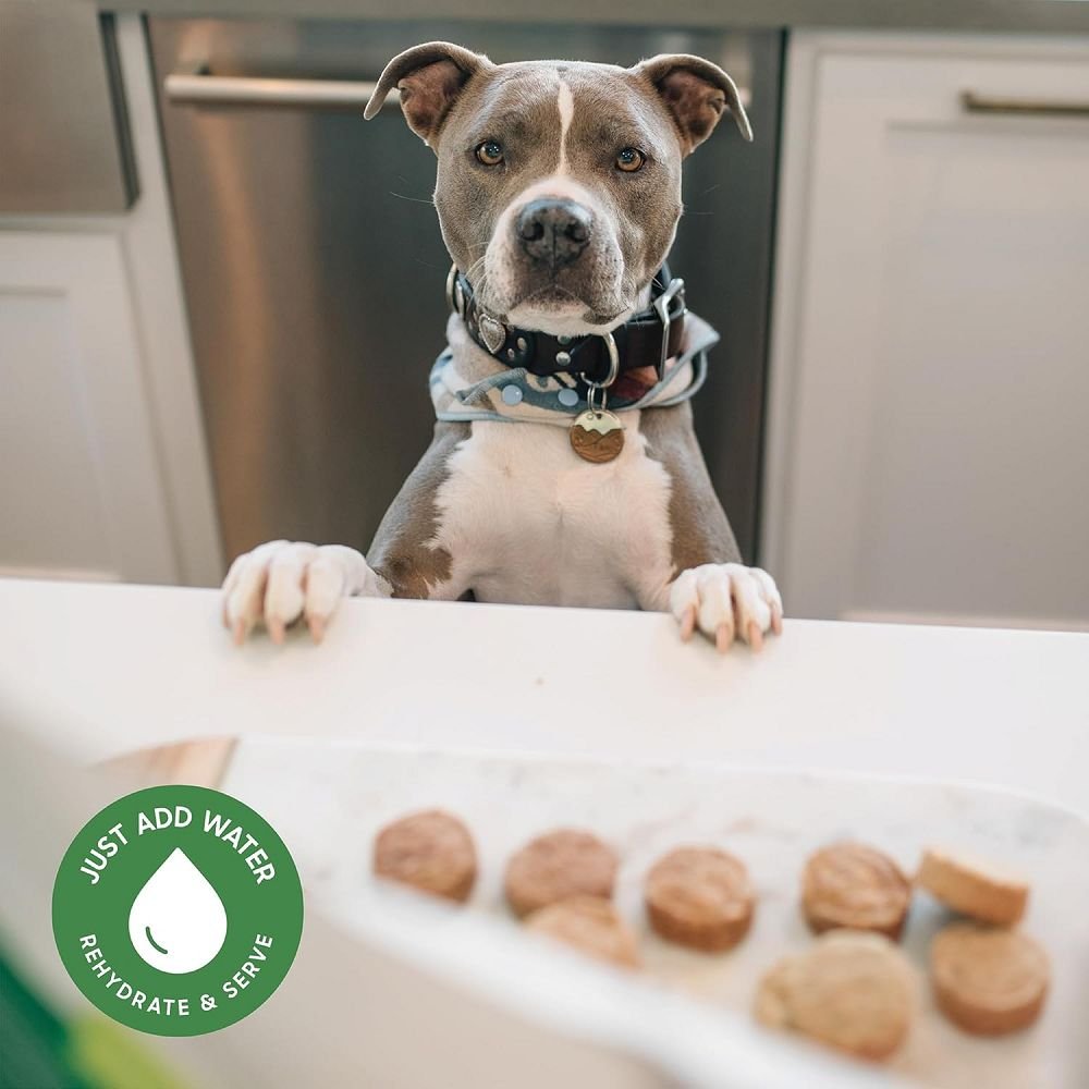 Freeze Dried Humanely Raised Beef Dog Food - Image 9
