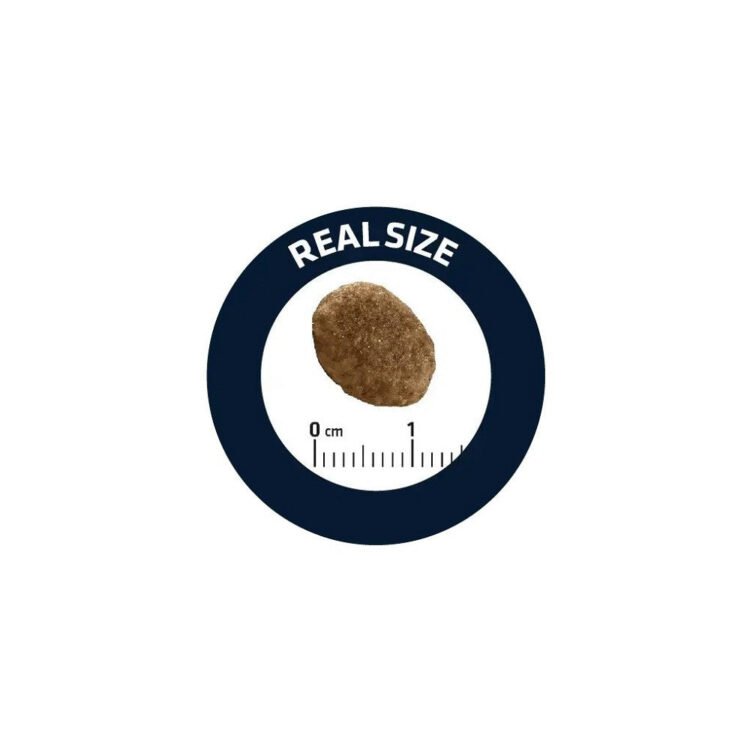 Veterinary Diets - Avet Hypoallergenic Cat Dry Food - Image 2