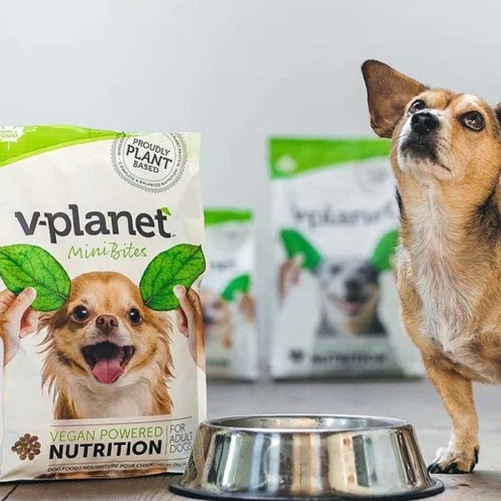 Mini Bites Adult Vegan Dog Dry Food - Image 3