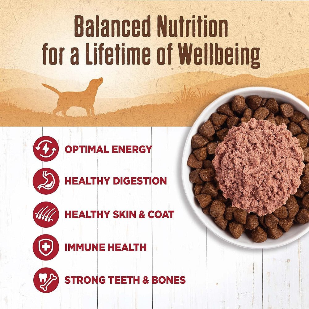 95% Beef Grain Free Dog Can - Image 2