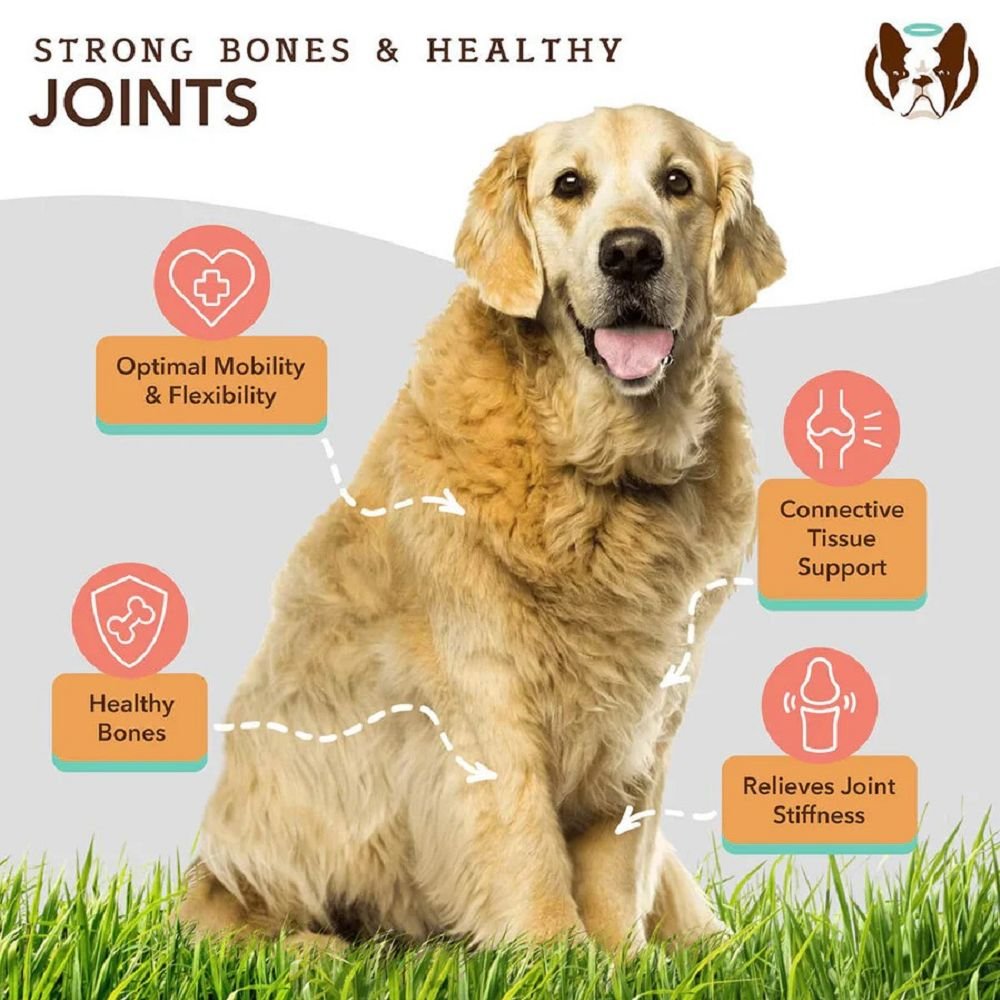 Liquid Glucosamine Hip & joint Oil Food Supplement for Dogs - Image 2