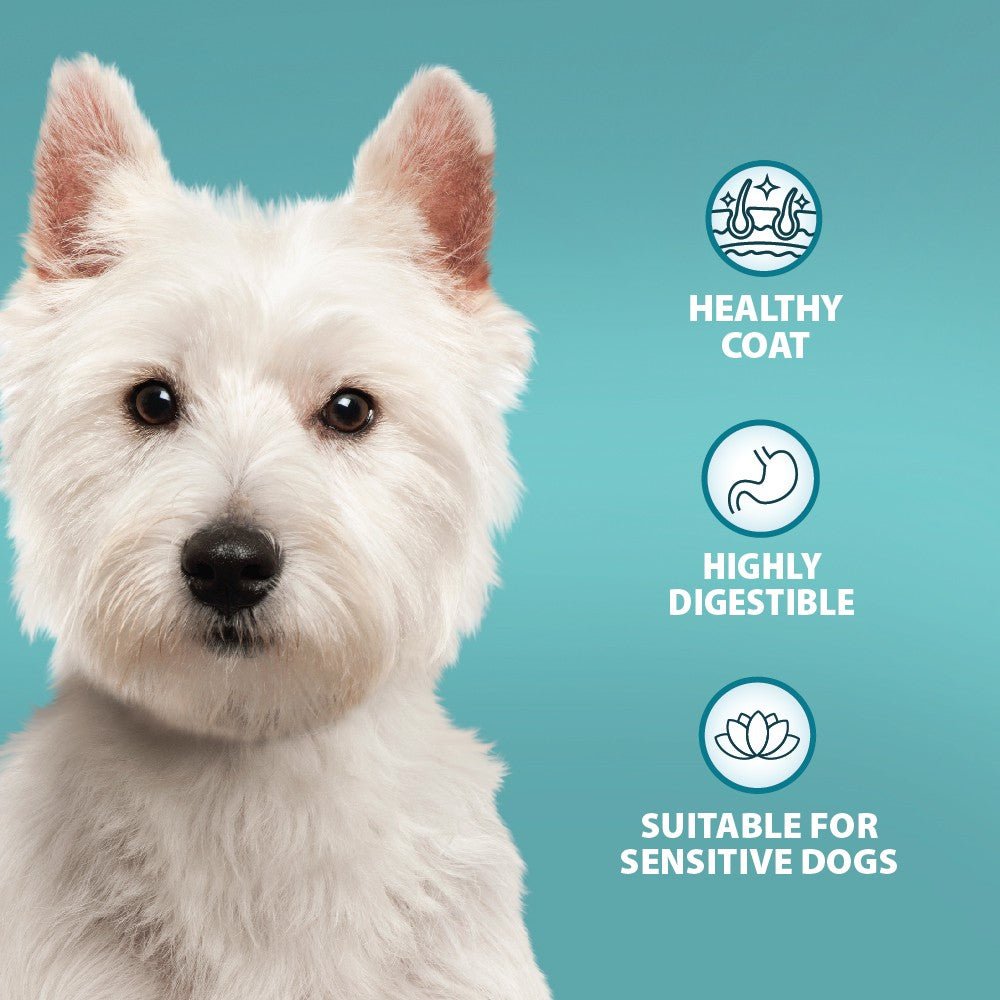 Adult Sensitive Duck & Brown Rice Dog Dry Food - Image 3