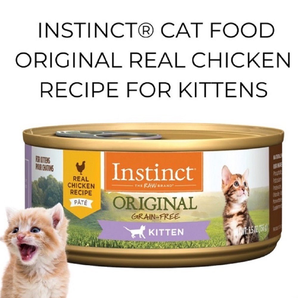 Kitten Original Grain Free Chicken Cat Can - Image 2