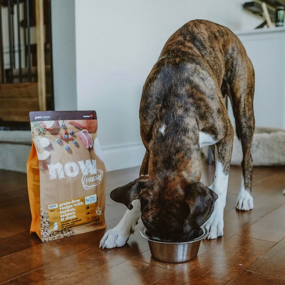 Puppy Grain Free Turkey Salmon & Duck Dog Dry Food - Image 3