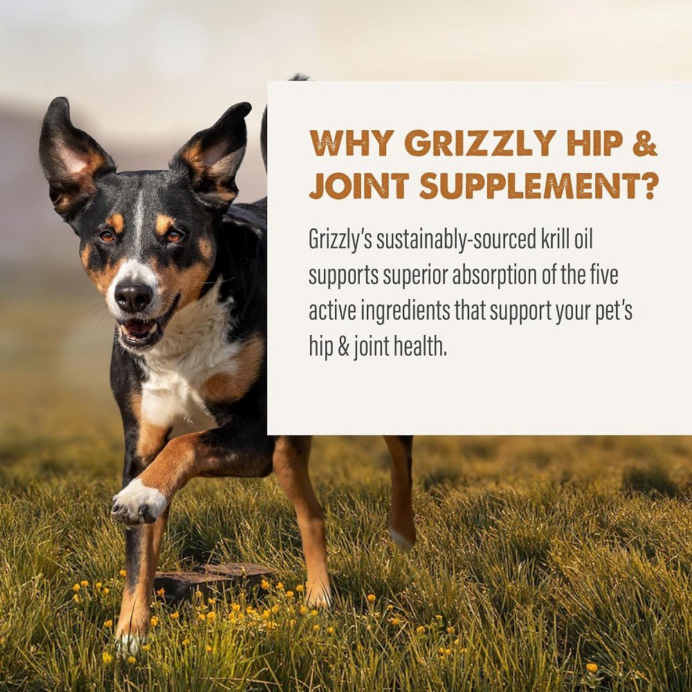 Hip & Joint Oil Food Supplement for Dogs & Cats - Image 6