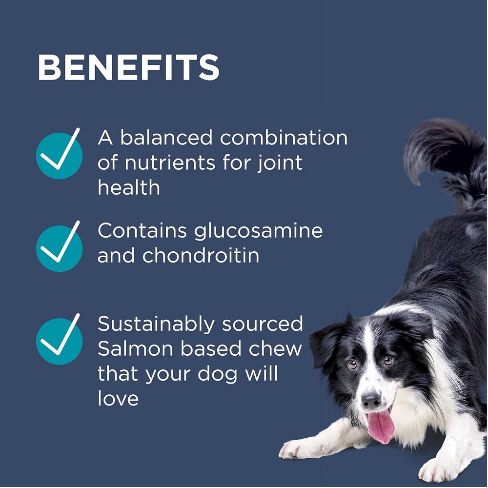 Paw Osteocare Joint Protect Chews Supplment for Dogs - Image 2
