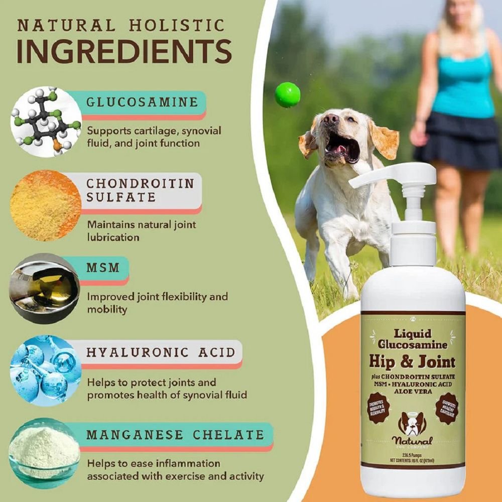 Liquid Glucosamine Hip & joint Oil Food Supplement for Dogs - Image 3