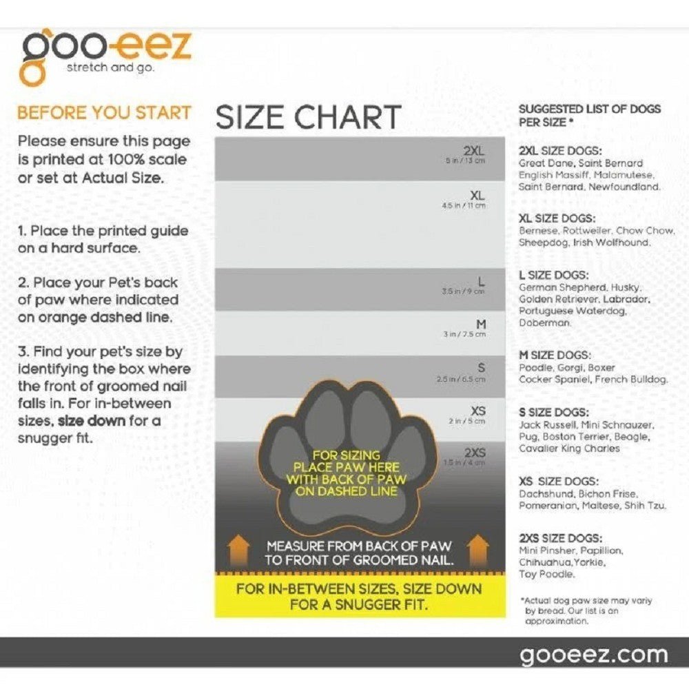 Monochromez Dog Boots - Image 4