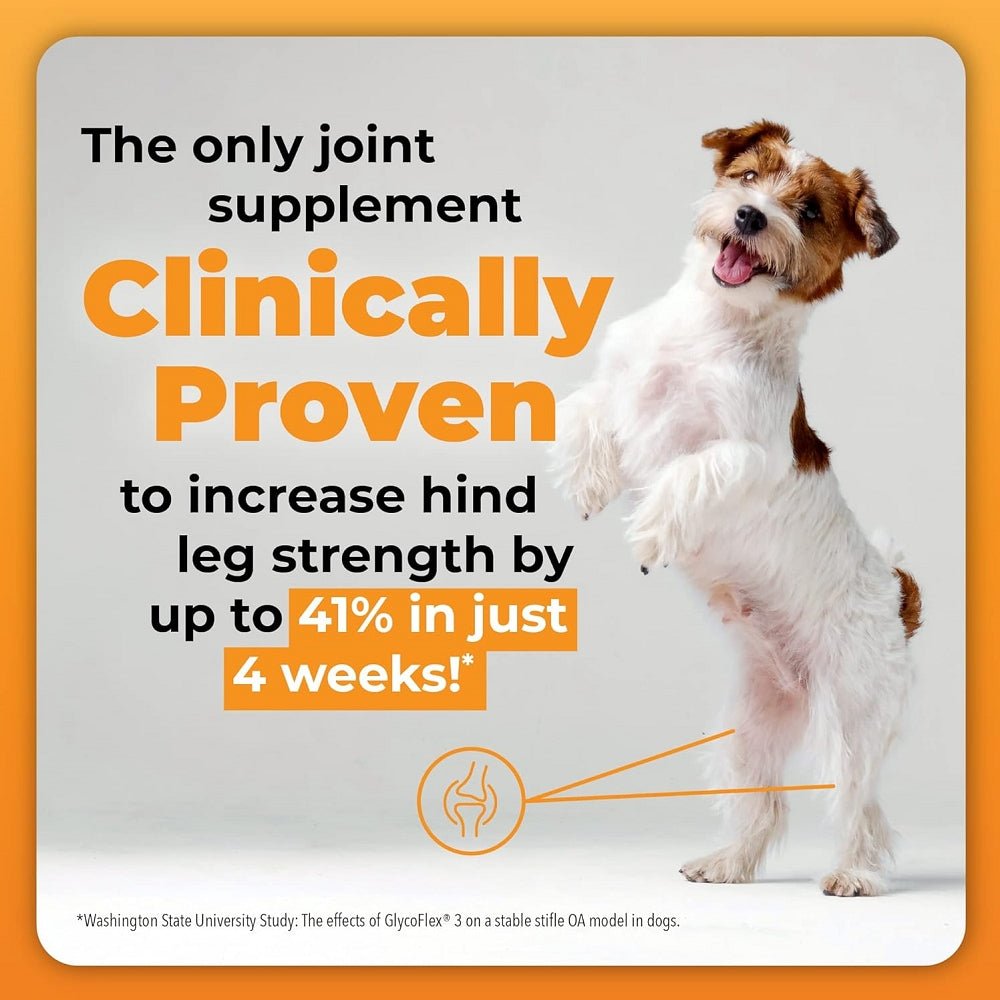 GlycoFlex Plus Hip and Joint Supplement for Medium and Large Dogs - Peanut Butter Recipe - Image 3