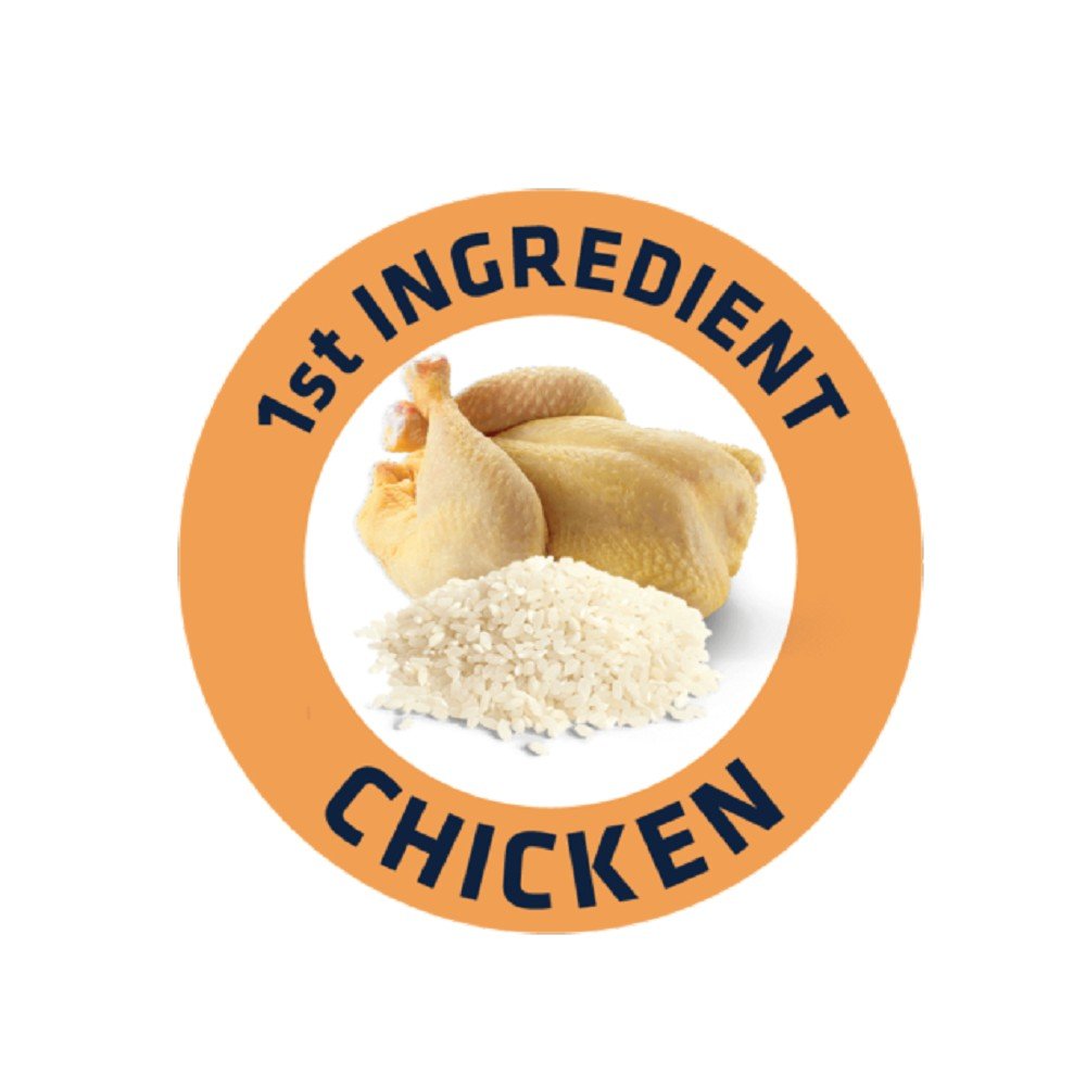 Active Defense - Chicken & Rice Mini Bites for Senior Dog Dry Food - Image 3