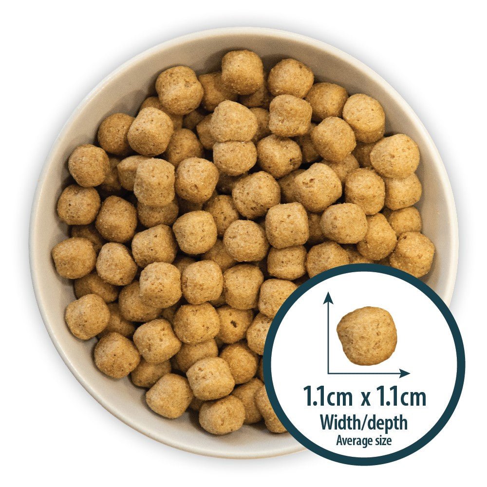 Adult Original Chicken & Brown Rice Dog Dry Food - Image 4