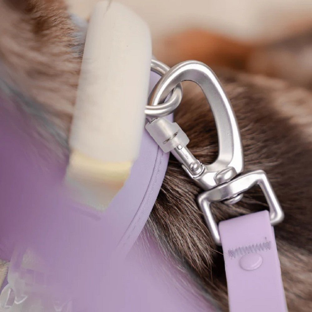 Roam Multi-Way Leash LITE - Image 3