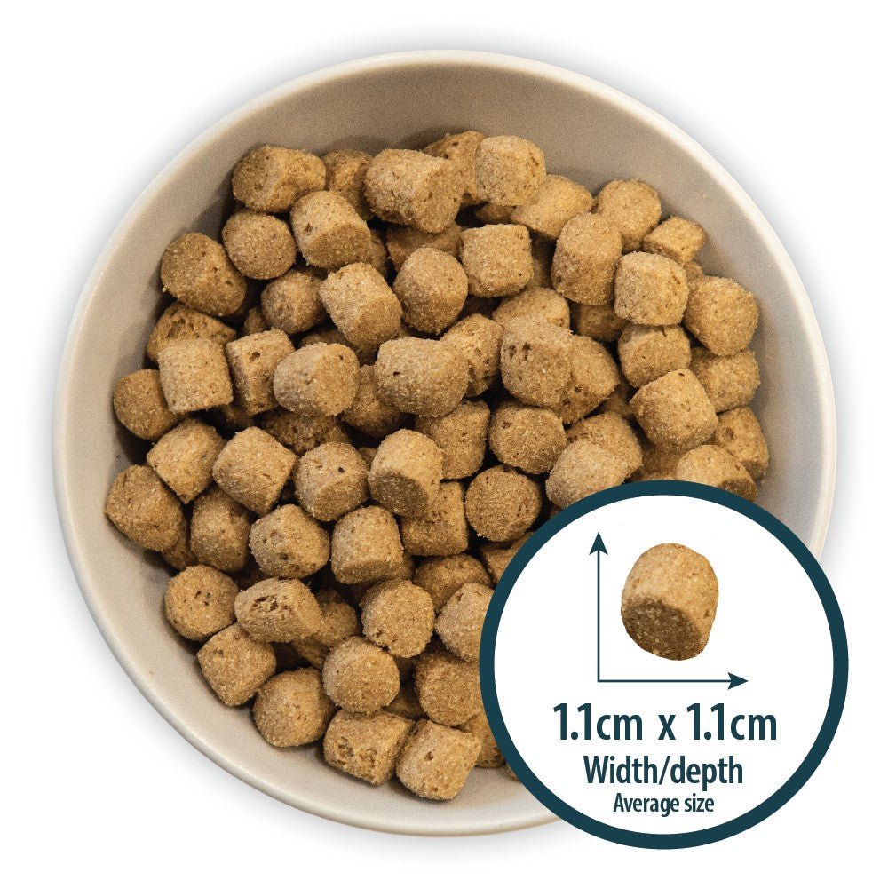 Puppy Original Lamb & Rice Dog Dry Food - Image 4