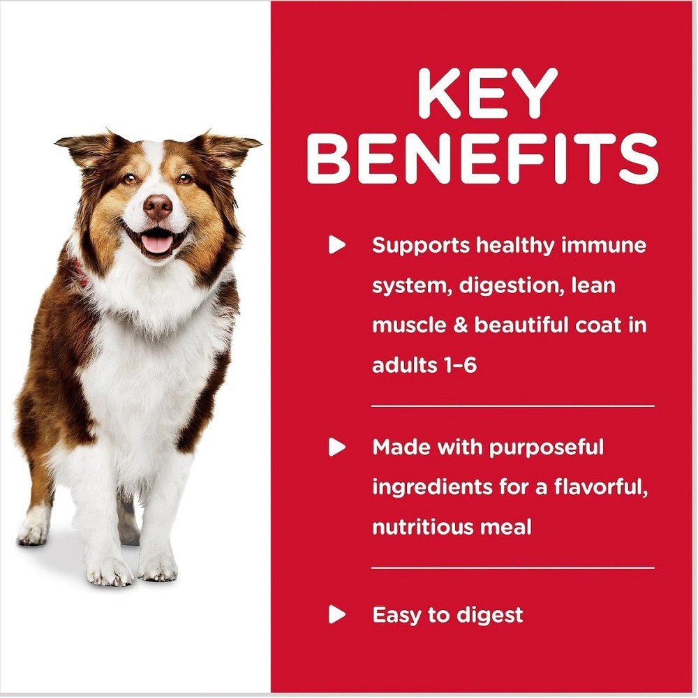 Healthy Cuisine Roasted Chicken Carrots and Spinach Stew Dog Wet Food - Image 2