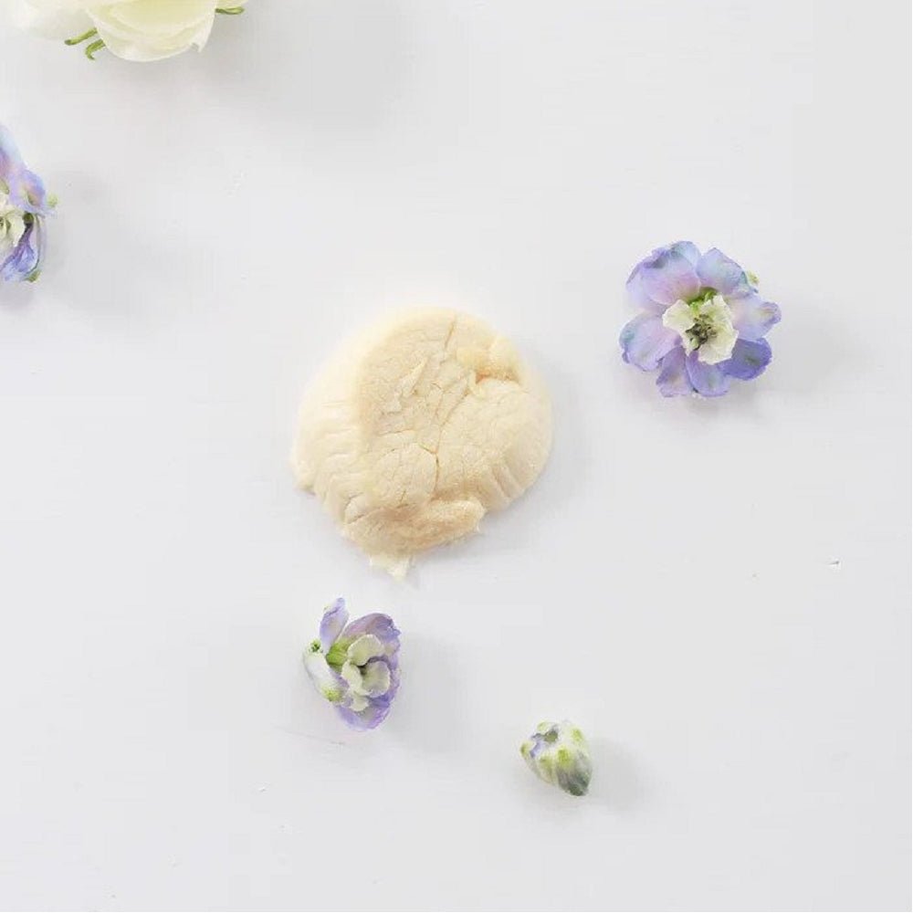 Freeze Dried Hokkaido Scallops Treats for Dogs and Cats - Image 4