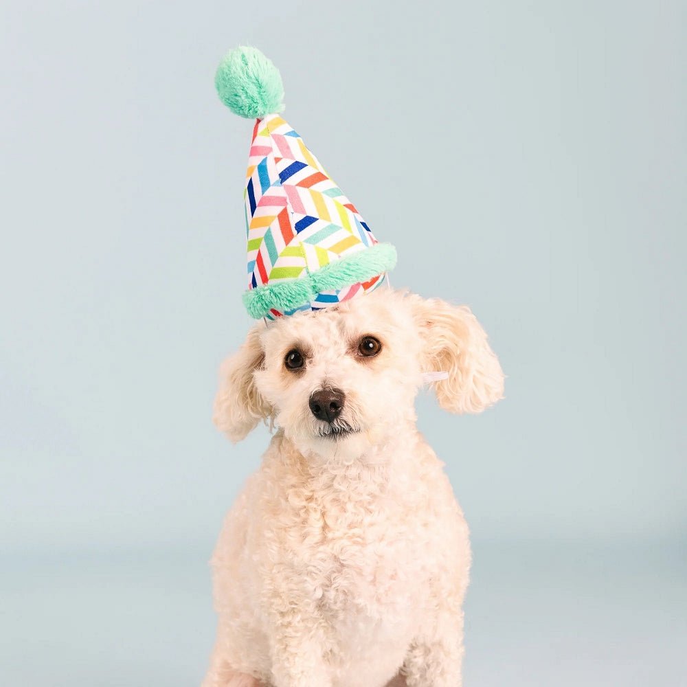 Birthday Hat Dog Plush Toy - Image 3