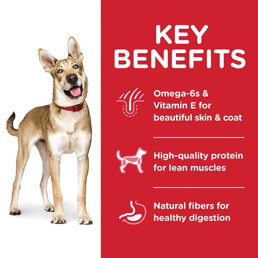 Science Diet - Everyday Diet - Original Bites Lamb & Brown Rice for Adult 1-6 Dog Dry Food - Image 3