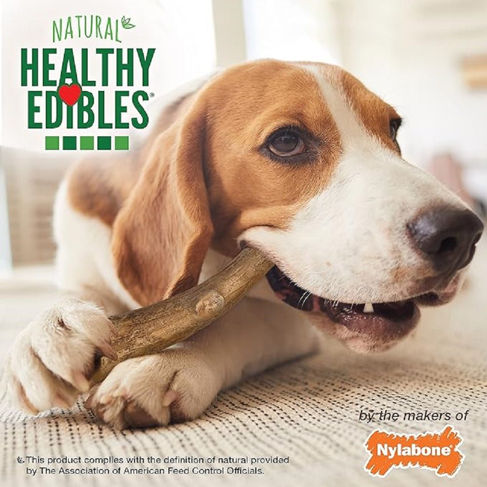 Healthy Edibles Wild Antler Natural Long Lasting Dog Dental Chews - Image 4