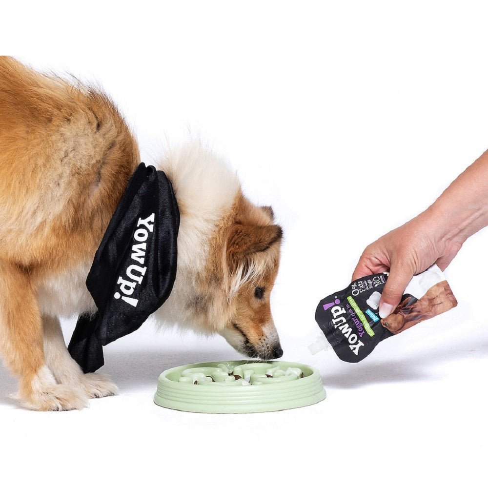 Yogurt Prebiotics for Dogs - Image 2
