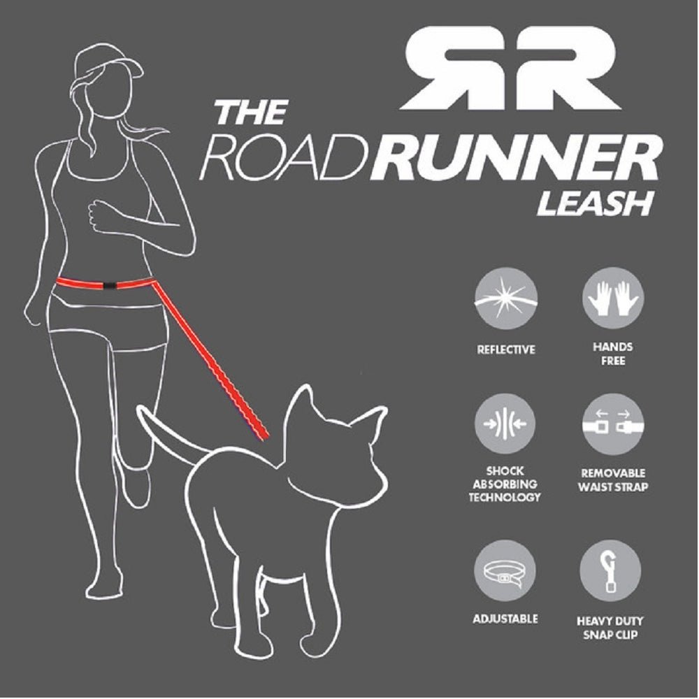 Road Runner Dog Leash - Image 10