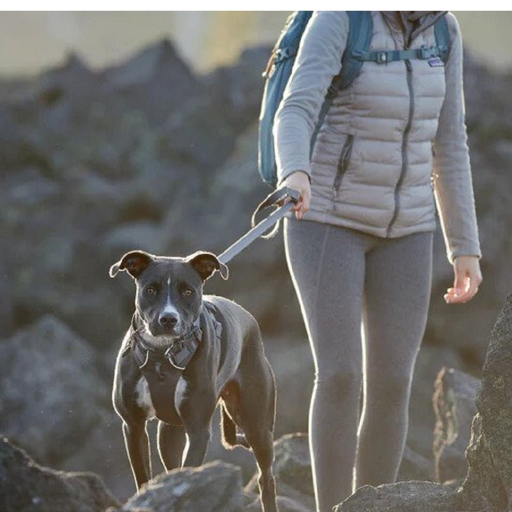 Front Range Dog Leash - Image 13