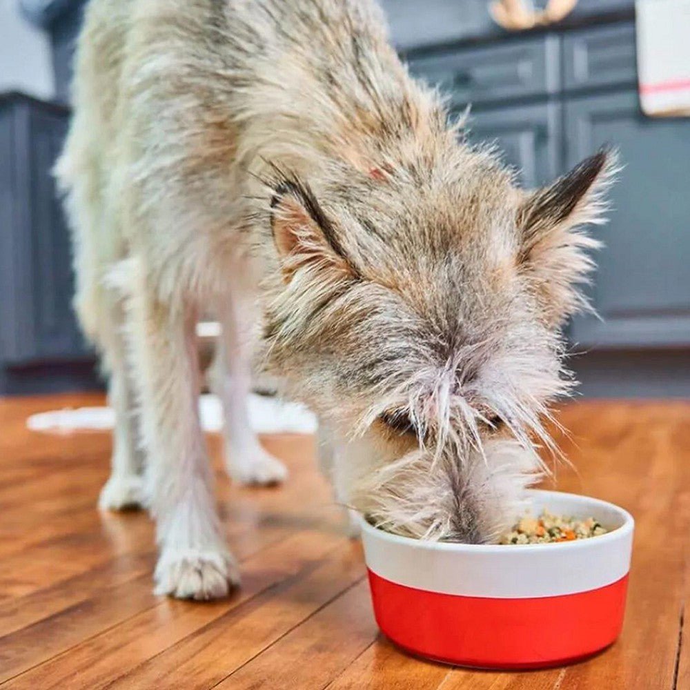 Frozen FreshMade Savory Sea Dog Food - Image 2