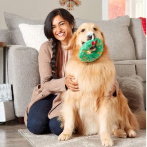 Christmas Wreath Dog Toy
