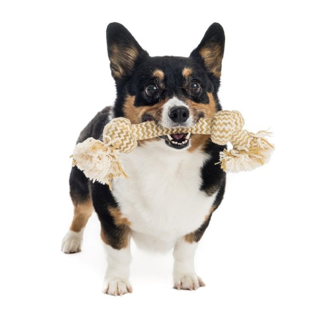 Extra Peanut Butter Scented Flossy Chews 2 Knots Dog Tug Toy - Image 5