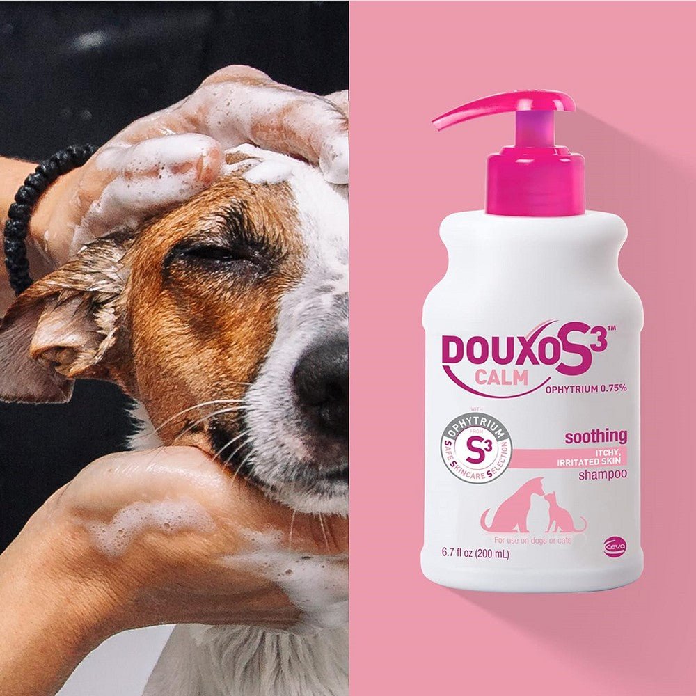 S3 Calm Shampoo for Dogs & Cats - Image 4