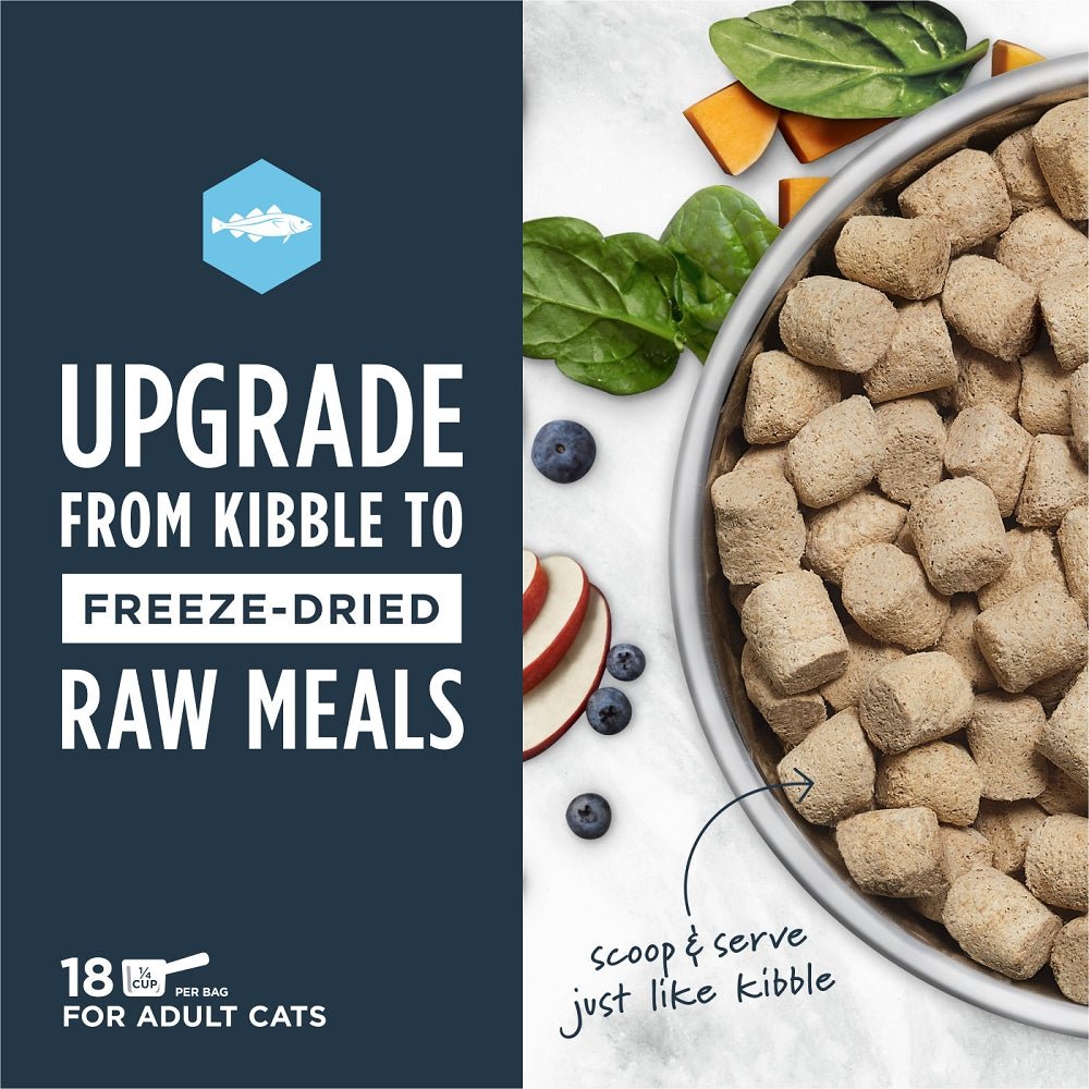 Freeze Dried Raw Meals - Pollock Cat Food - Image 3