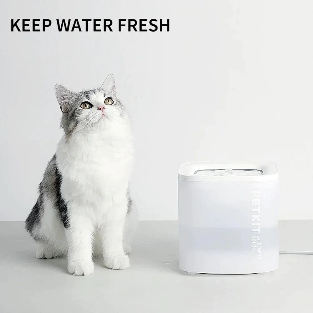 Eversweet Solo SE Smart Pet Drinking Fountain (Wireless Pump) - Image 4