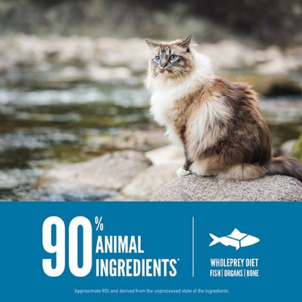 6 Fish Formula Adult Cat Dry Food (USA) - Image 4