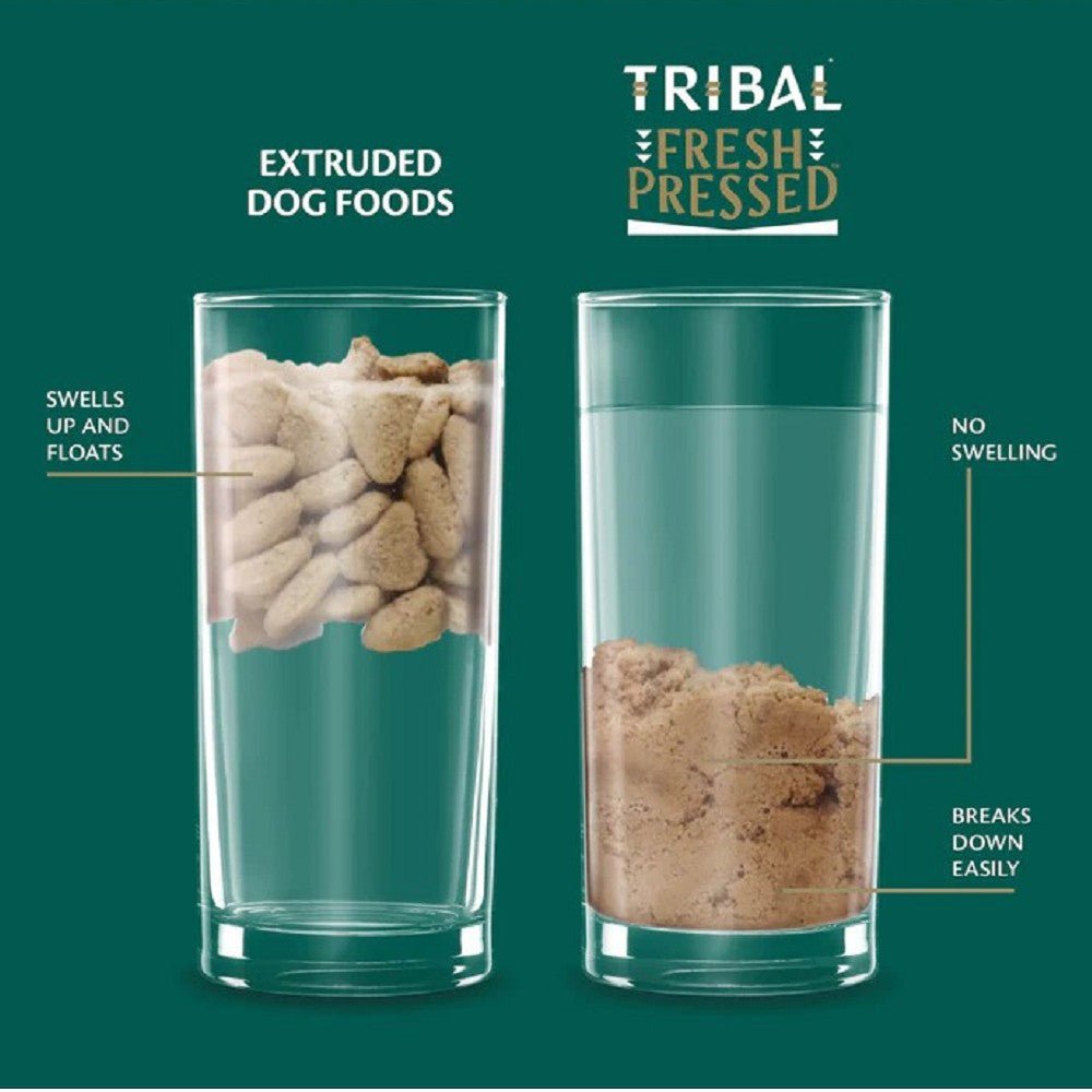 Cold Pressed Chicken Adult Dog Dry Food - Image 3