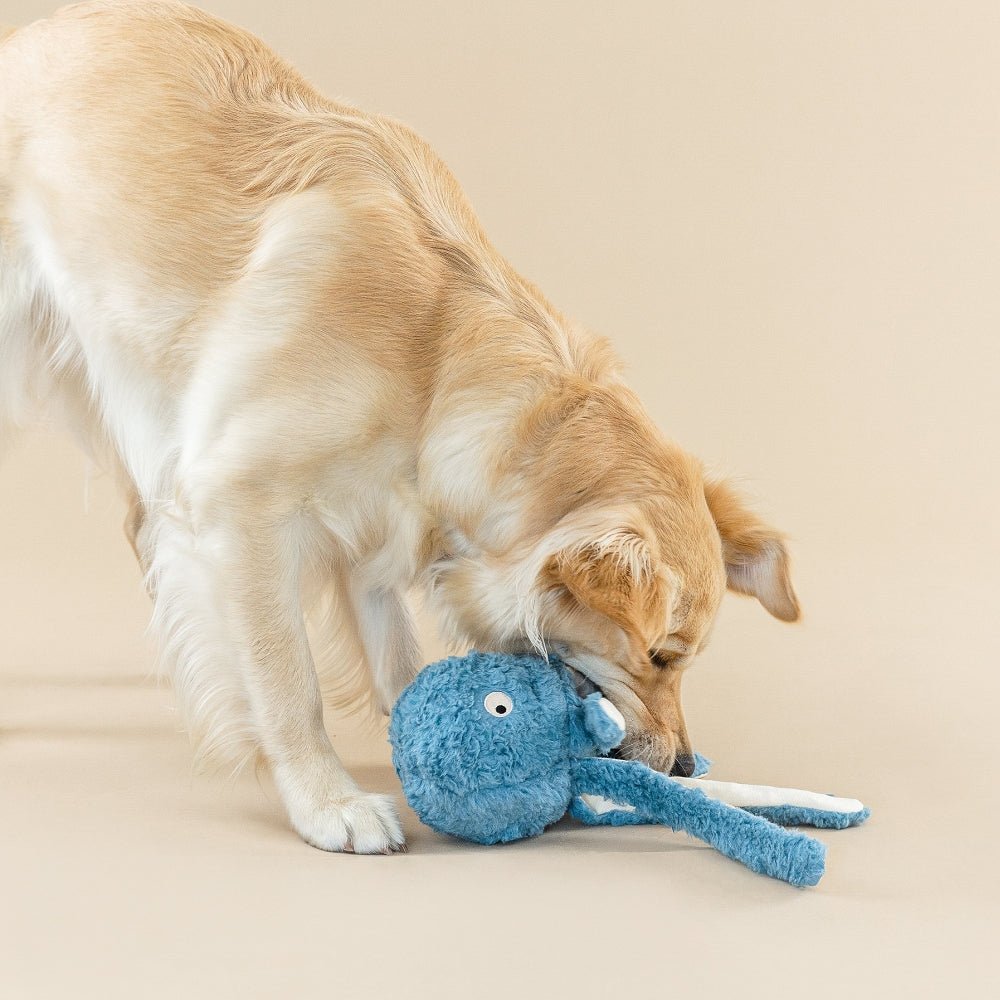 Earth Friendly Long Time No Sea Dog Plush Toy - Image 3