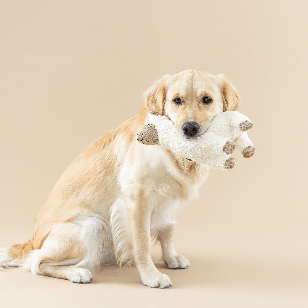 Earth Friendly Fleeced To Meet You Dog Plush Toy - Image 3