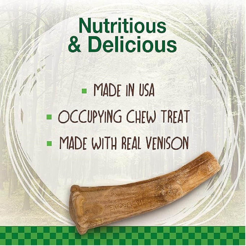 Healthy Edibles Wild Antler Natural Long Lasting Dog Dental Chews - Image 3
