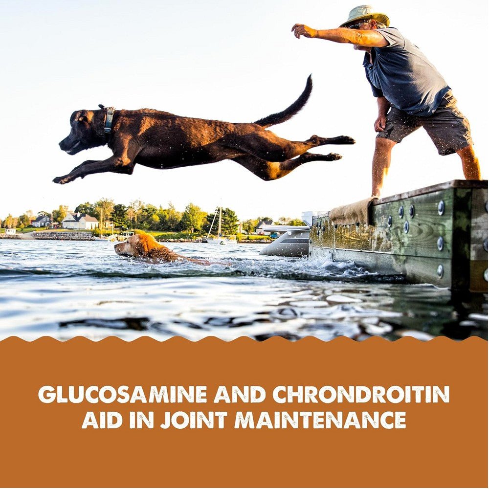 Hip & Joint Oil Food Supplement for Dogs & Cats - Image 3
