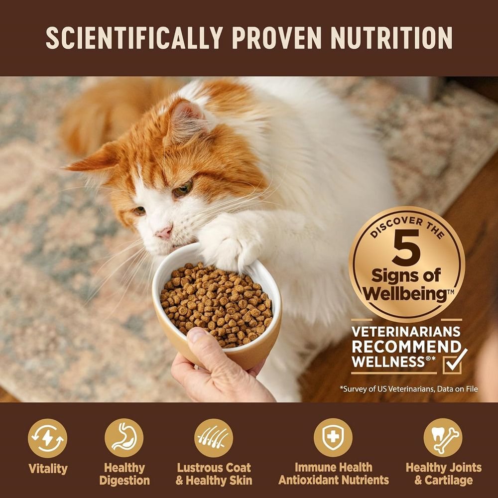 CORE Original Deboned Turkey Adult Cat Dry Food - Image 5
