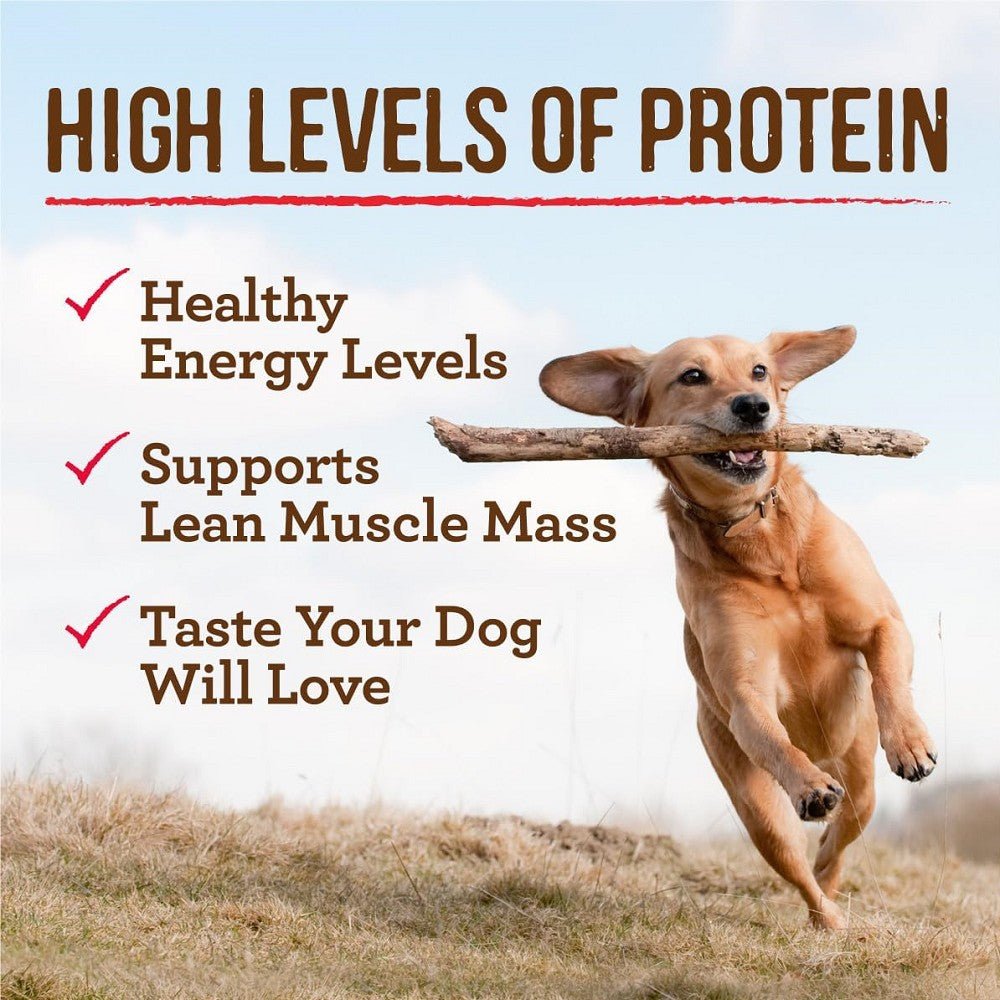Adult Grain Free Chunky Big Texas Steak Tip Dinner Dog Can - Image 2