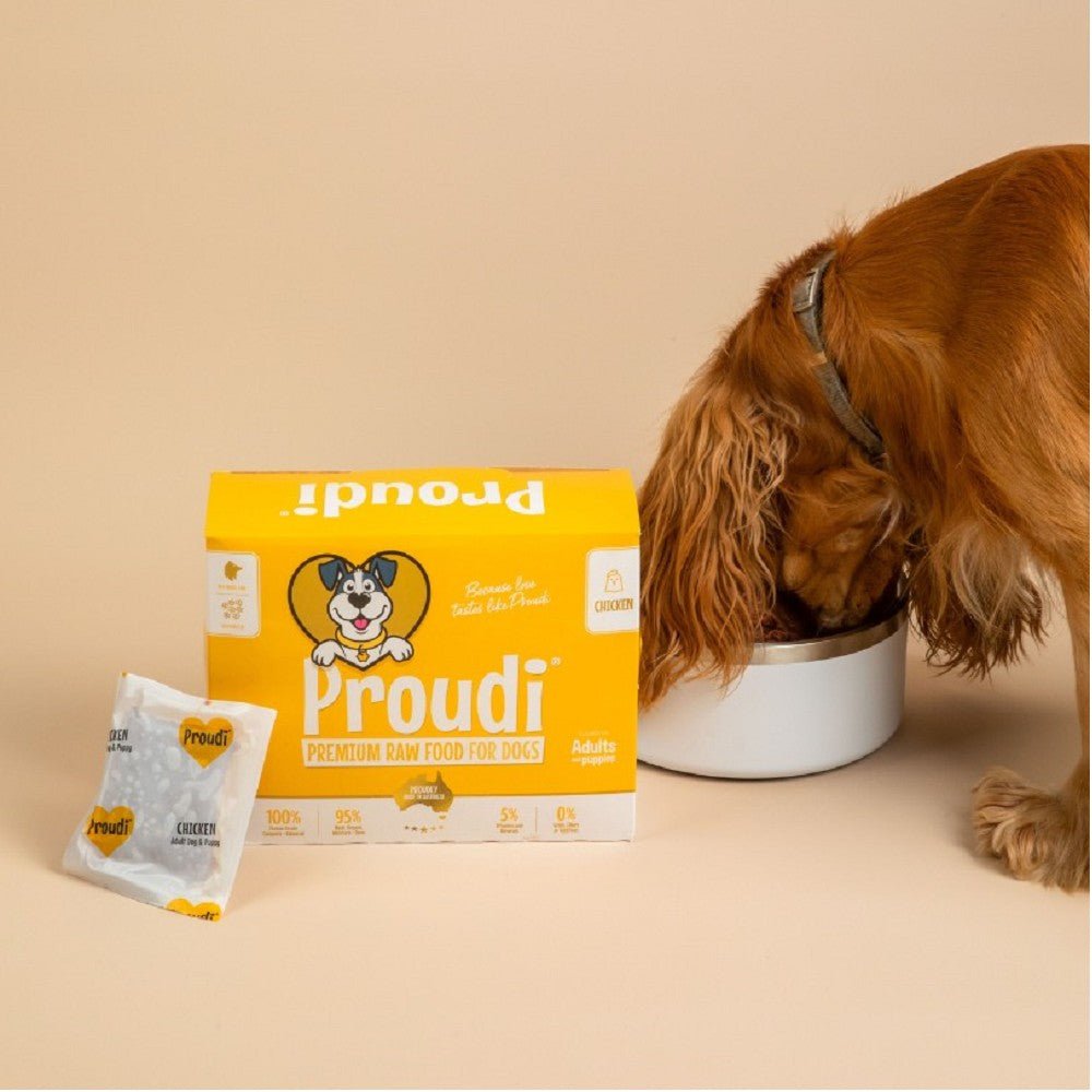 Frozen Single Protein Chicken Raw Dog Food - Image 2