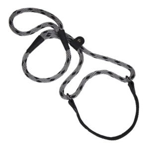 Walker Dog Leash