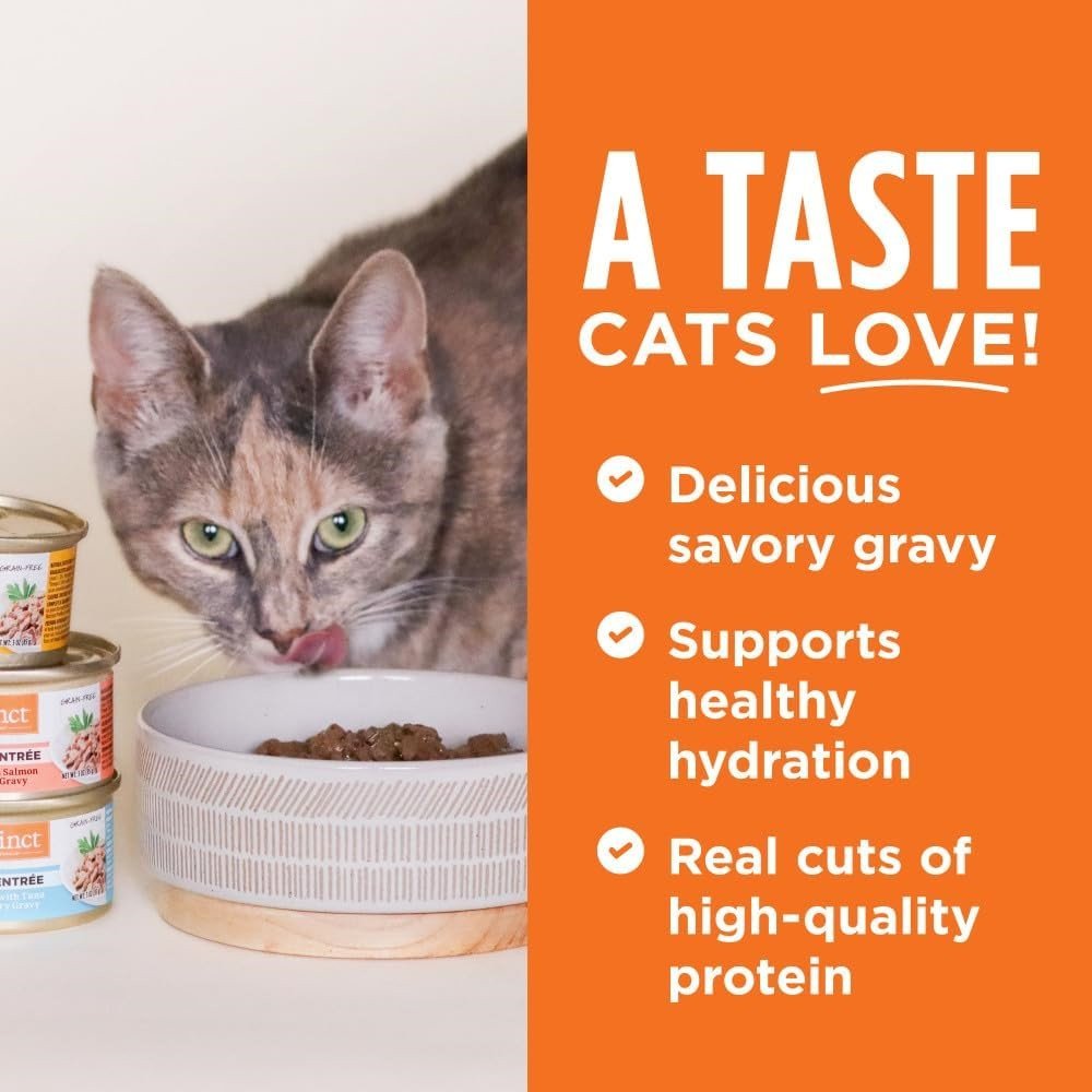 All Life Stages Grain-Free Flaked Rabbit Entree Cat Can - Image 4