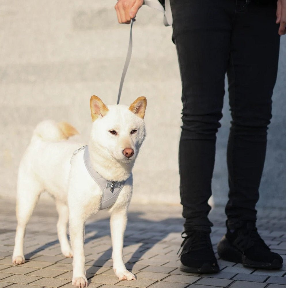 Roam Multi-Way Leash LITE - Image 9