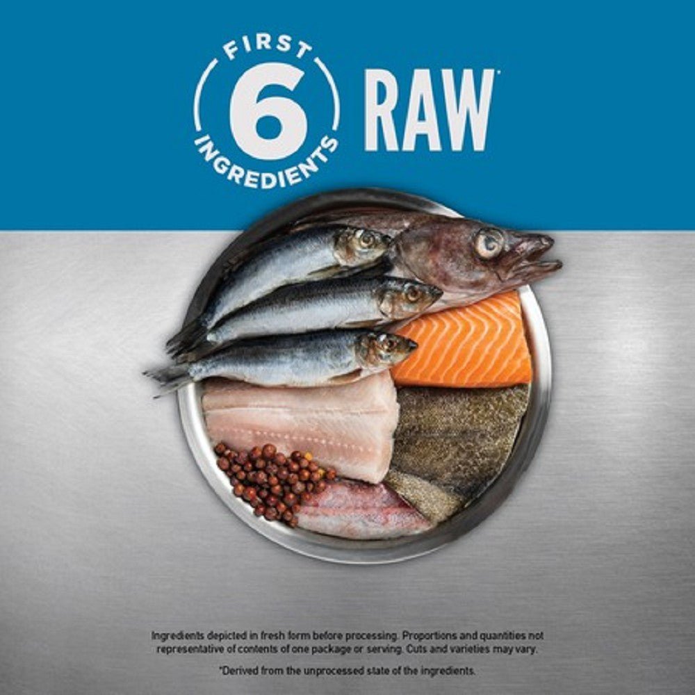 6 Fish Formula Adult Cat Dry Food (USA) - Image 5