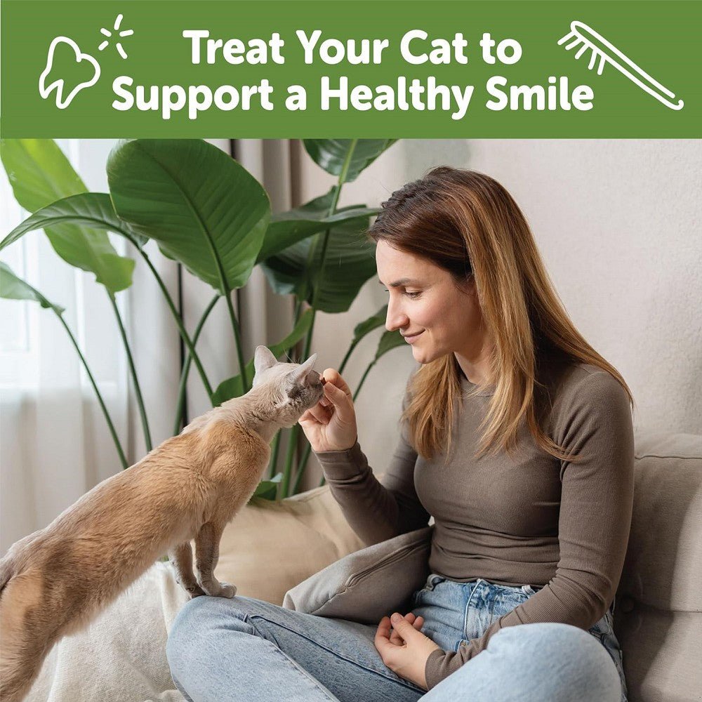 Chicken Cat Dental Treat - Image 4