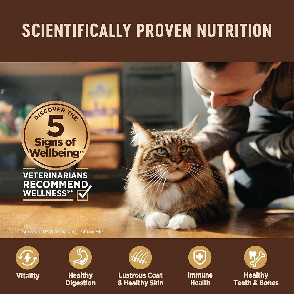CORE Pate Chicken, Turkey & Chicken Liver Adult Cat Can - Image 5