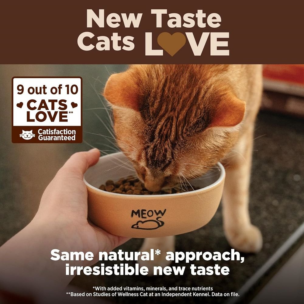 CORE Original Deboned Turkey Adult Cat Dry Food - Image 6
