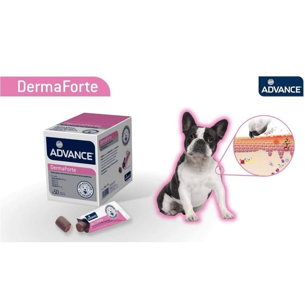 Veterinary Diets - Derma Forte Supplement for Dogs - Image 2