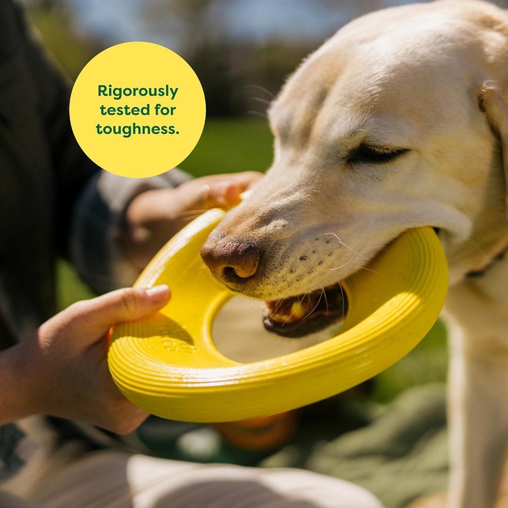 Natural Rubber Dog Flyer Toy - Image 7