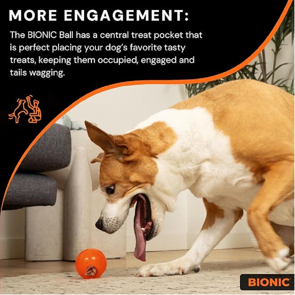 Bionic Ball Dog Toy - Image 7